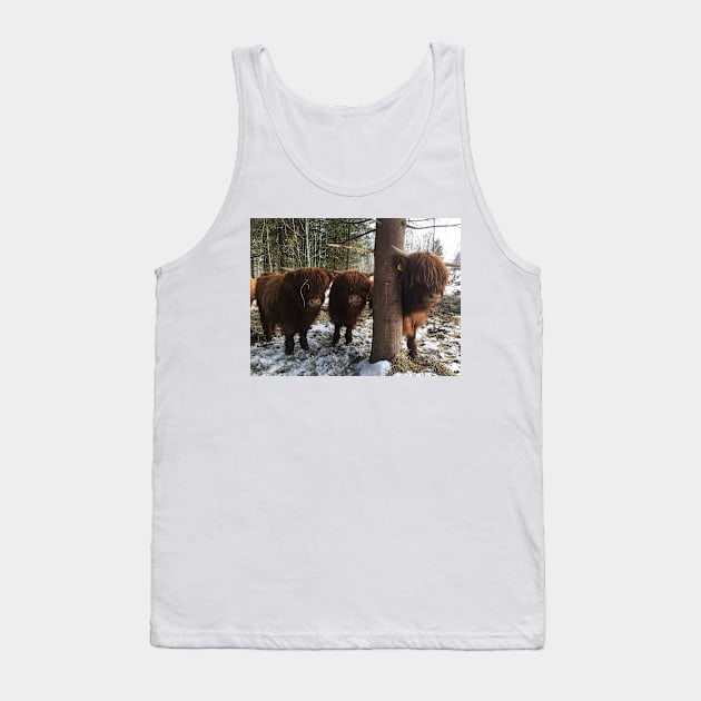 Scottish Highland Cattle Calves 1961 Tank Top by SaarelaHighland